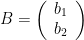 B = \left(\begin{array}{c}b_1 \\b_2\end{array}\right)